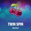 Twin Spin